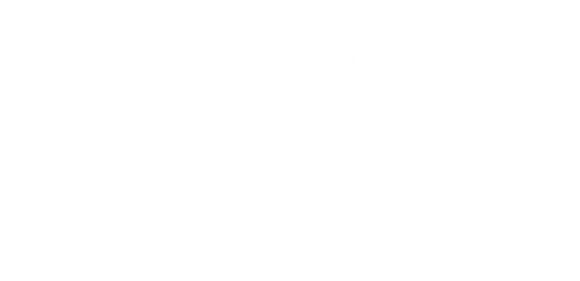 5W White Logo